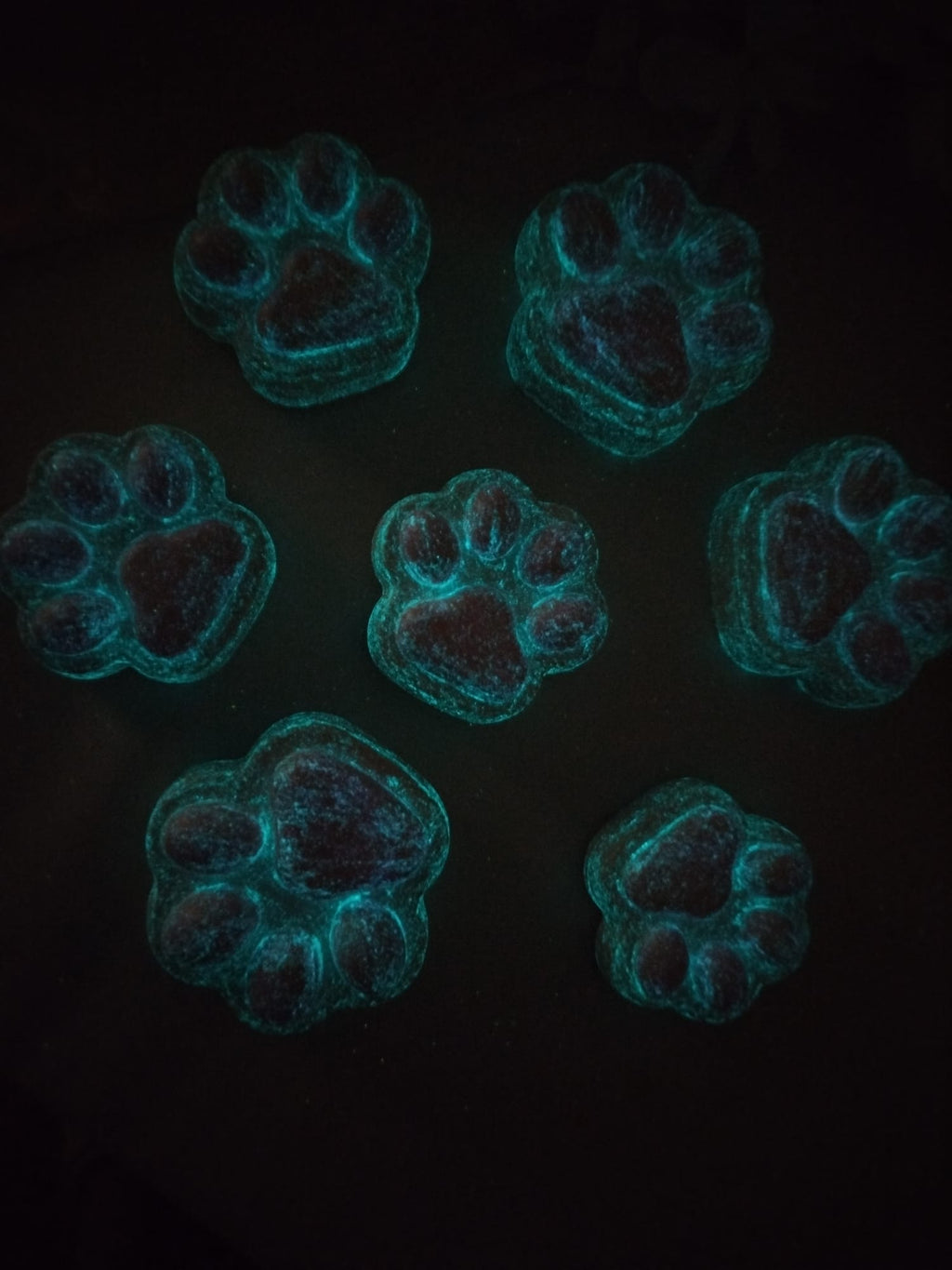 Leuchtendes Pfoten Magnet Set (7 Stück) – handgemacht, fluoreszierend, Kühlschrank Deko für Tierliebhaber
