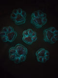 Leuchtendes Pfoten Magnet Set (7 Stück) – handgemacht, fluoreszierend, Kühlschrank Deko für Tierliebhaber