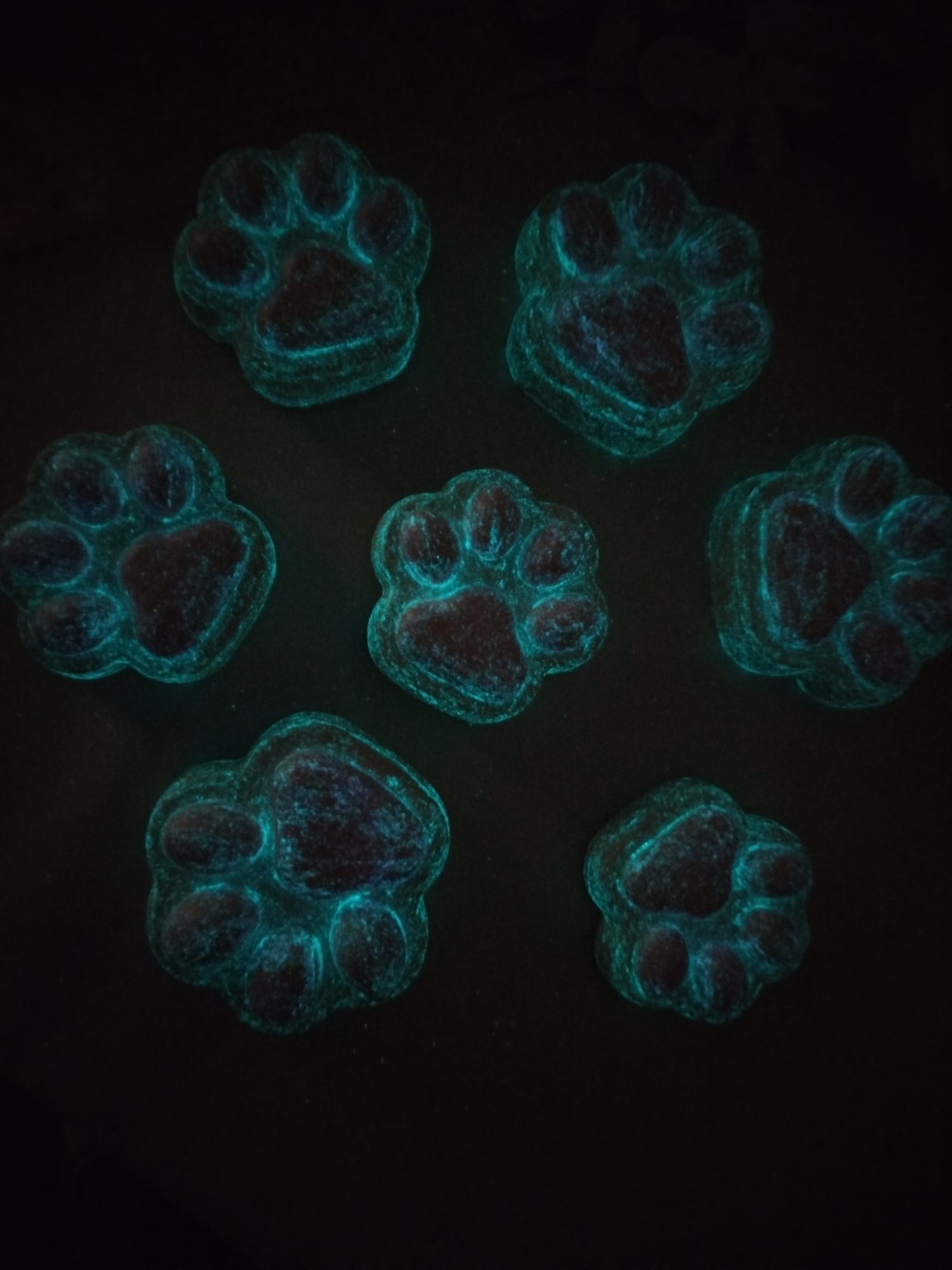 Leuchtendes Pfoten Magnet Set (7 Stück) – handgemacht, fluoreszierend, Kühlschrank Deko für Tierliebhaber
